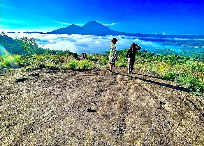 Volcano View 3*