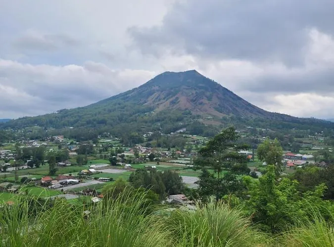Volcano View 3* Kintamani